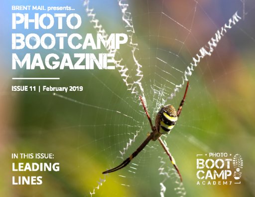 Photo_BootCamp_Magazine_-_February_2019