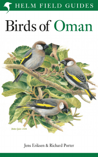 Birds+of+Oman