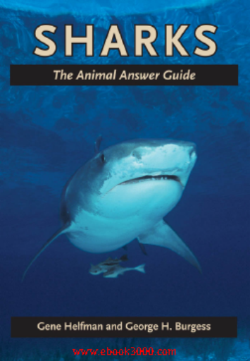 Sharks The Animal Answer Guide