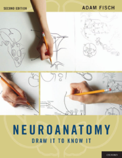 Neuroanatomy+Draw+It+To+Know+It
