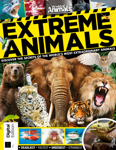 World_of_Animals_Extreme_Animals_First_Edition