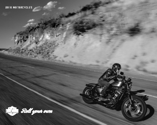 2016+Motorcycles+Harley+Davidson