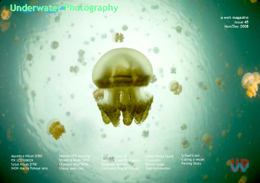 Underwater+Photography