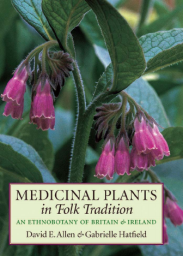 MEDICINAL+PLANTS+in+Folk+Tradition