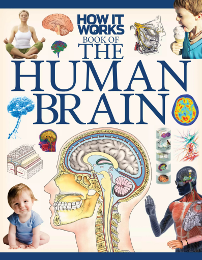 How+It+Works+-+Book+of+The+Human+Brain