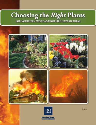 Choosing+the+Right+Plants+-+University+of+Nevada%2C+Reno