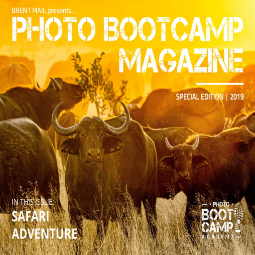 Photo+BootCamp+%E2%80%93+Special+Edition+201
