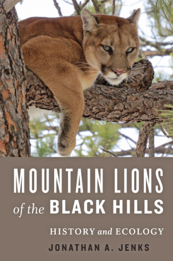Mountain Lions of the Black Hills