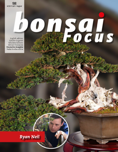 Bonsai+Focus+-+Juli-August+2019