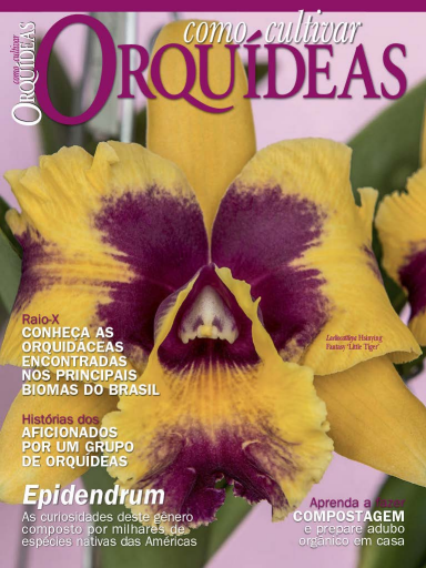 Como Cultivar Orquídeas (2019-02)