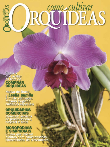 Como Cultivar Orquídeas (2019-04)