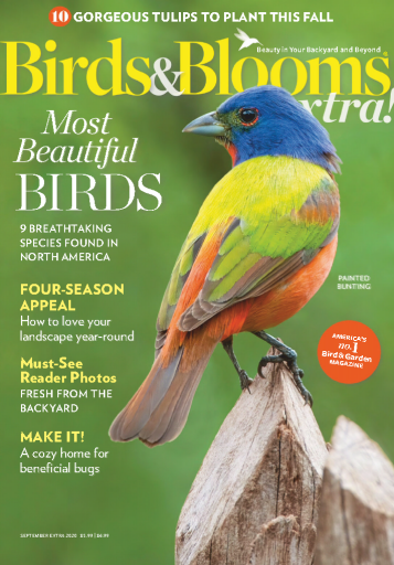 Birds & Blooms Extra! - USA (2020-09)