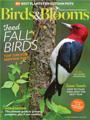 Birds & Blooms - USA (2021-09)