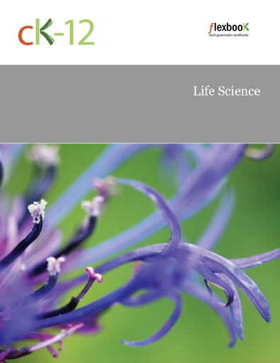 CK12+Life+Science