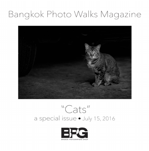 %22Cats%22+a+special+issue+July+15%2C+2016