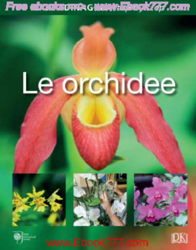 Il+Giardinaggio+Step+by+Step+-+8%C2%AF+uscita+-+Le+orchidee