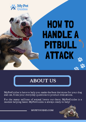How to Handle a Pitbull Attack
