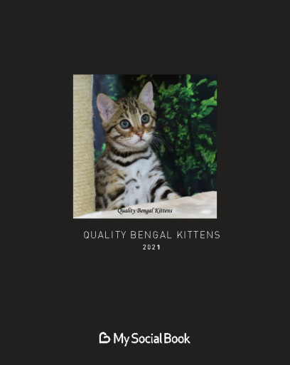 Quality+Bengal+Kittens+2021